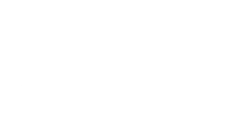 Bunnto Logo